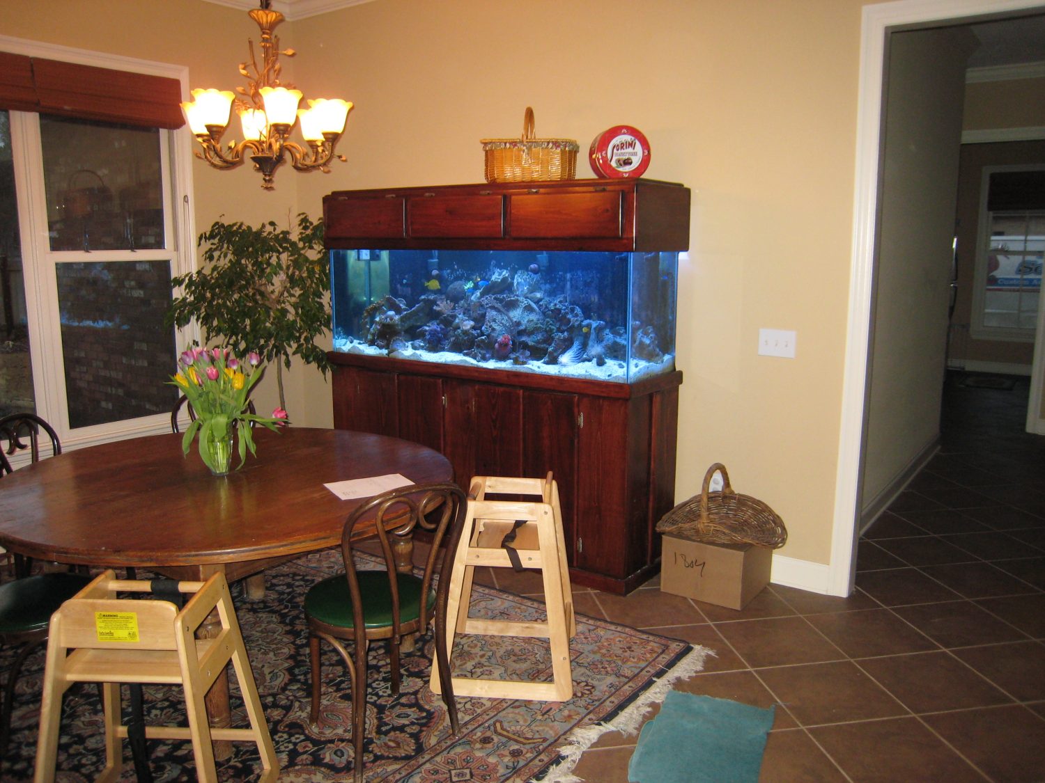 aquarium in dining room